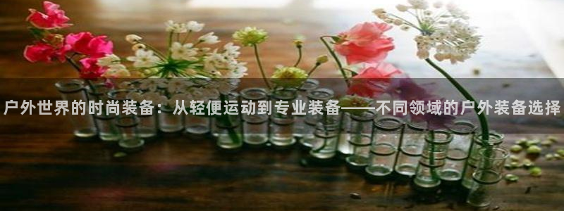新宝新宝gg开户流程
