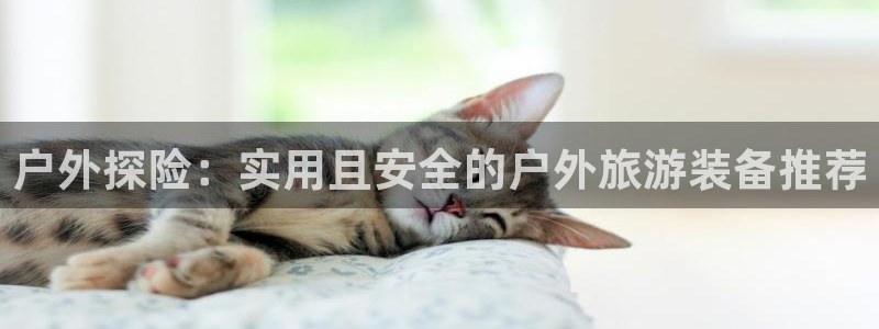 新宝gg-