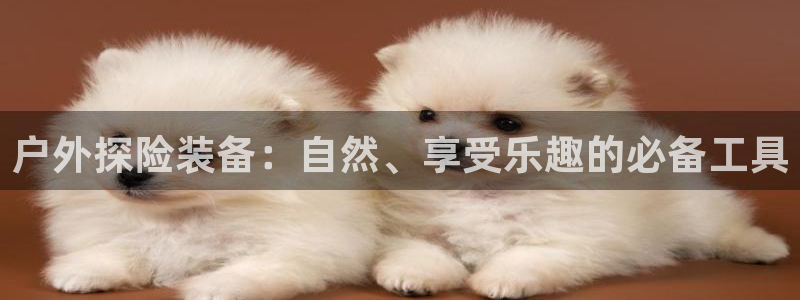 新宝gg平台怎么样